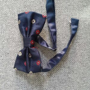 04 Pnt bowtie