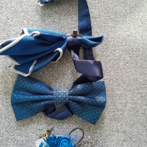 02Pnt bowtie
